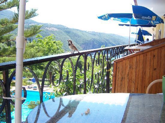 Bella Vista Hotel And Apartments Parga Eksteriør billede